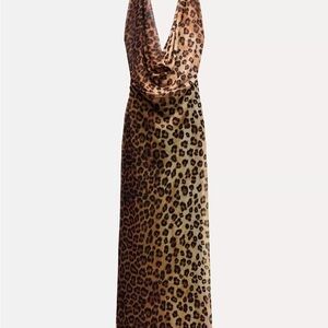 Zara Animal Print Maxi Dress